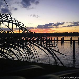 Meet your Posher, Gavin